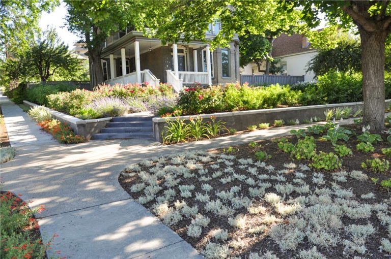 Landscaping & Buffers Standards in Salt Lake City | Planning Division