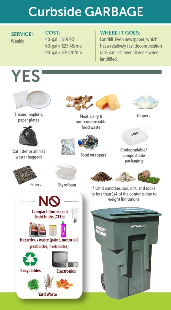 What goes in your bin - City Services