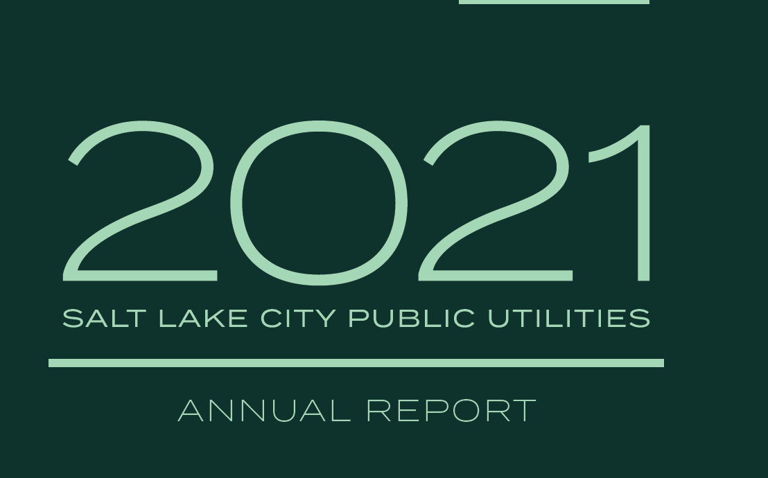 2021 Annual Report Public Utilities 3431